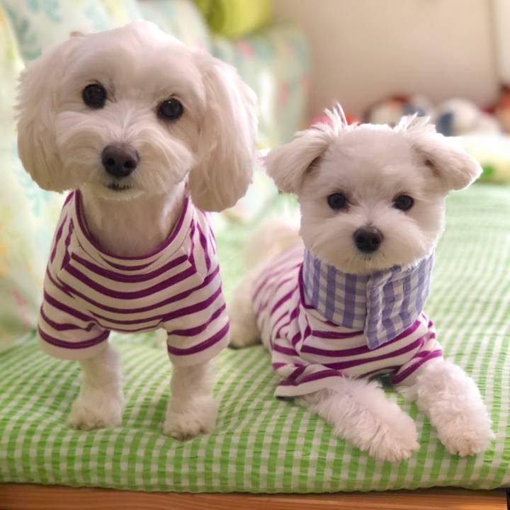 A5b0845b 2091 4162 b137 d88fed14e251 1523407497329