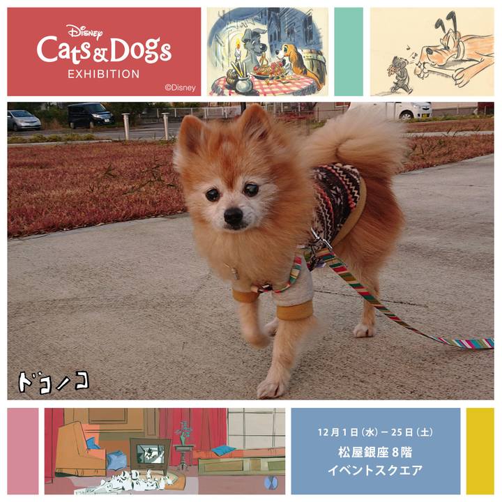 A5b0927e 790d 4f0d a0fa 3c8e6e25d96a 1638368655311