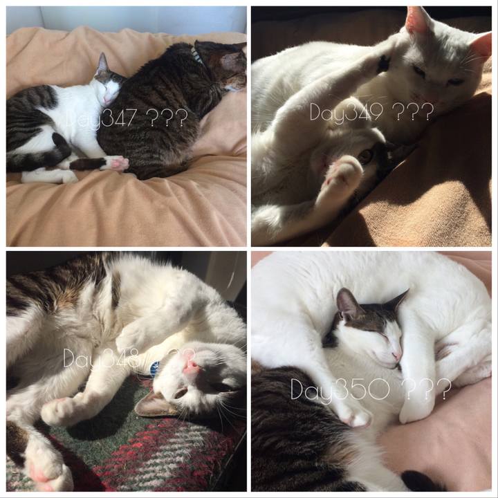 A5b09c33 b641 4475 bb92 f15ef4f2b913 1523796755152