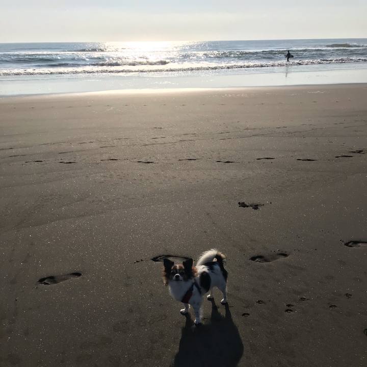 A5b09e10 9712 4ac0 aba1 23e5e5a70d32 1569539942356