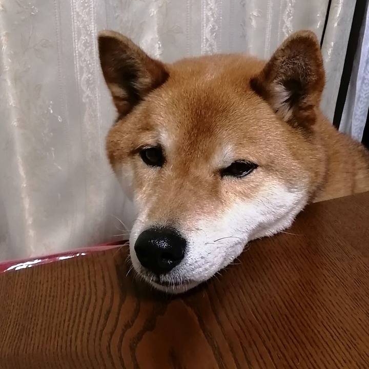 A5b0a8f2 6c01 412b a3cf 00792603bd97 1583749855996