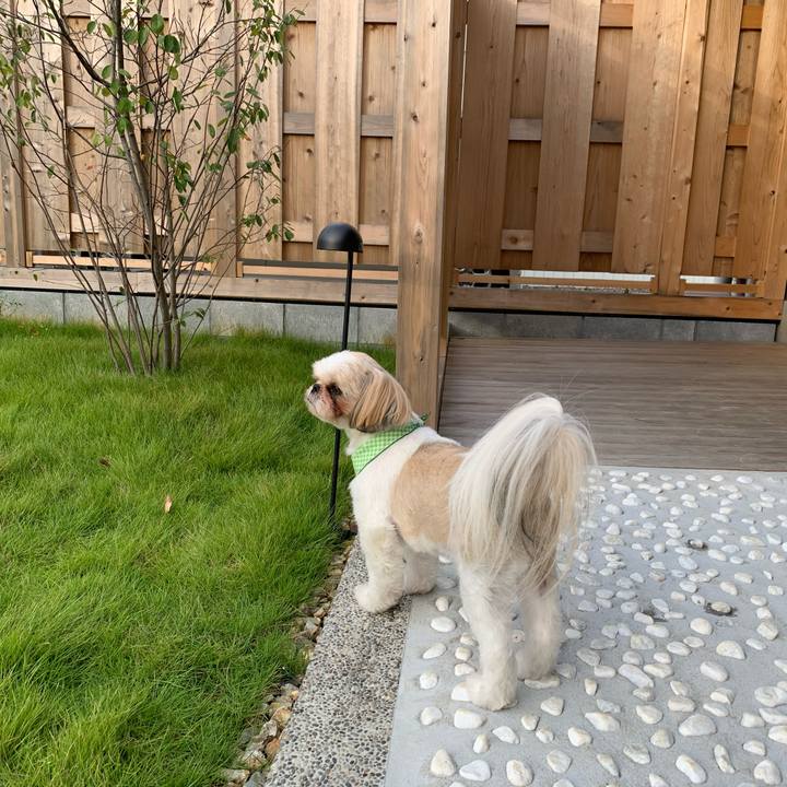 A5b0b4ff 07ff 4957 8950 d9d7b1a11464 1600752601657