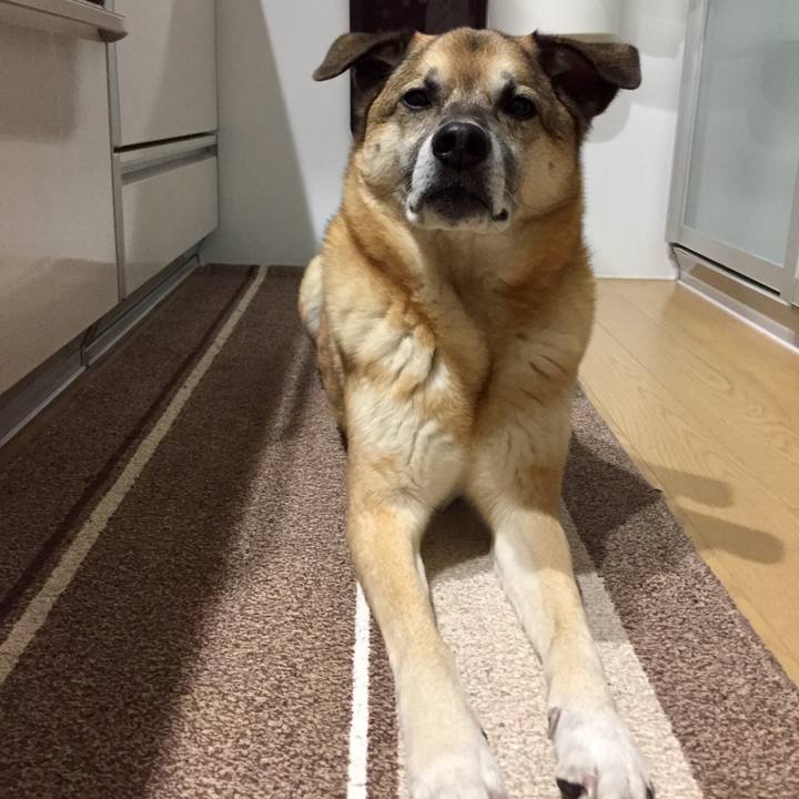 A5b0e6e6 2411 43bd a530 ad9220ba58fb 1518169758443