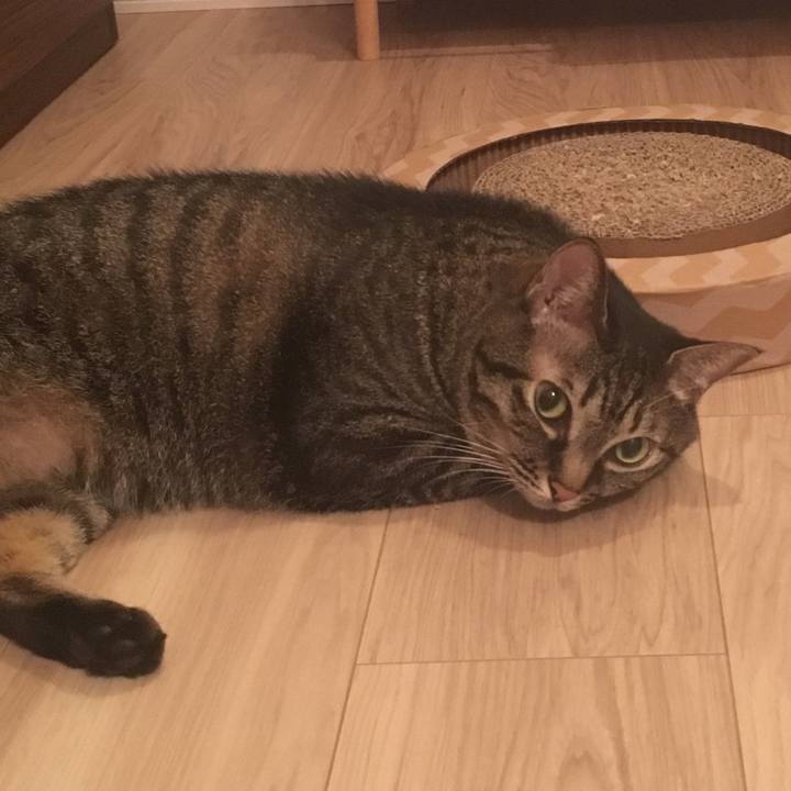 A5b11a93 d9bd 4417 9577 8d08e9590a4c 1568643349523