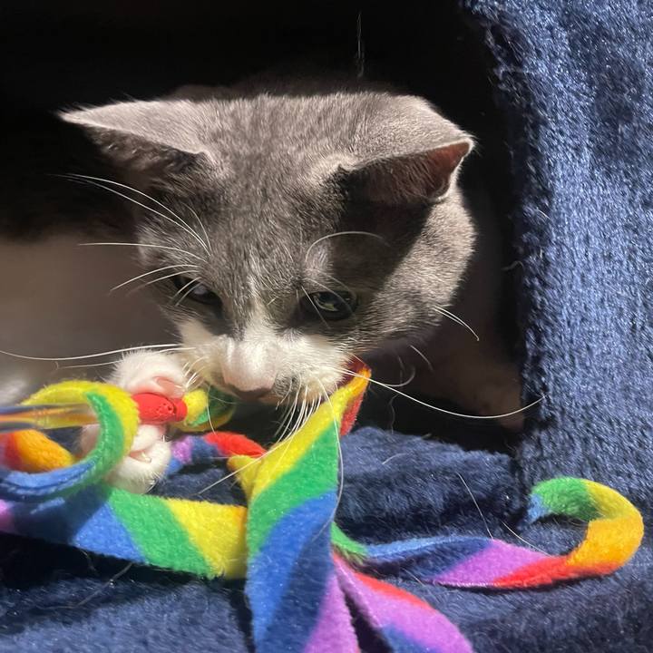 A5b14c32 d90b 47ec 80e7 fd5068132bb8 1625400456255