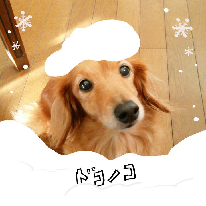 A5b172d7 38d2 40e7 964e 58fd117145dd 1772353675632