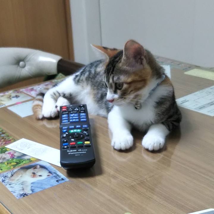 A5b195dd dd62 41cb 9255 b3c6129810f6 1628466733468