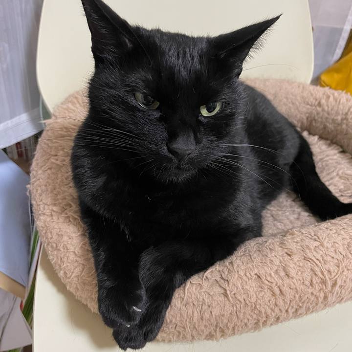 A5b1b0a5 3929 4b9f aba6 04e1269688d1 1668854977652