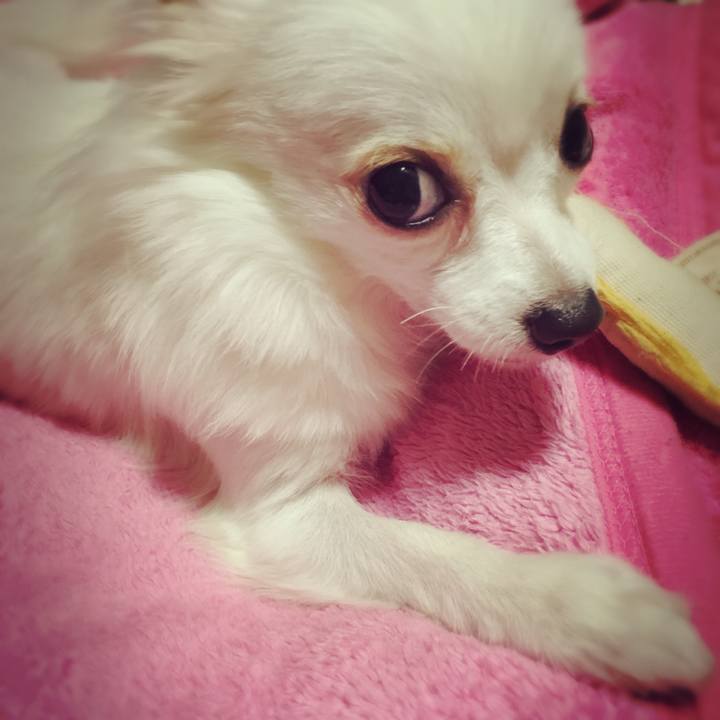 A5b1bbb6 e11d 44b8 aa94 e2bc4fe6dd01 1508741130547