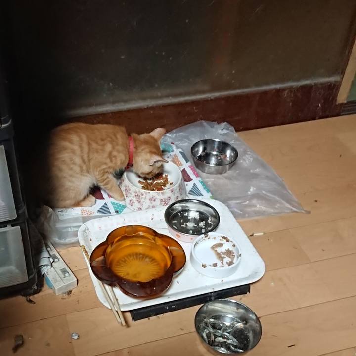 A5b1c14b ab7a 4154 aaad 5da6c82dbf78 1631910557334