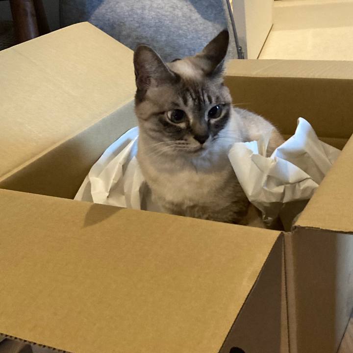 A5b23981 1c4f 4484 9022 06aa4287837a 1775100751219