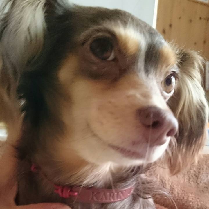 A5b23f94 c8ef 423d 9f64 e546e4184b55 1517113711837