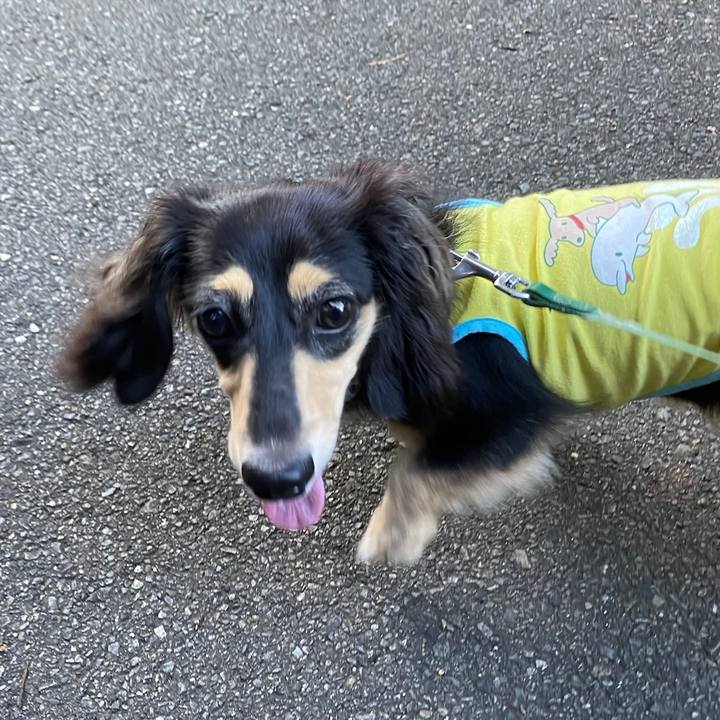 A5b24e68 8fff 403d b94d 4a4fb87b7a46 1692235991939