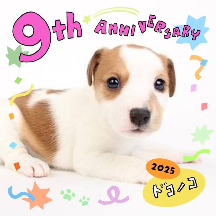 A5b259ed d4a2 4ee6 8998 ae3ac9b4afe7 1749250650927