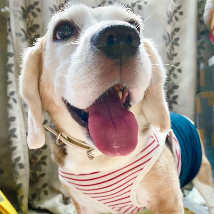 A5b2b4da e813 44ff 8383 343066f99292 1630130230358