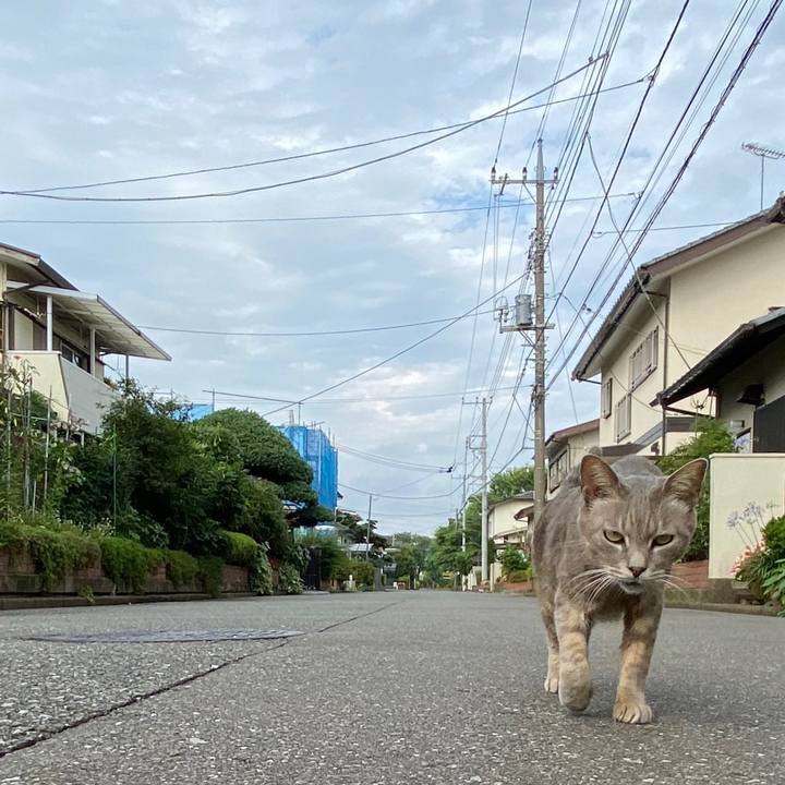 A5b2bf5d cbd8 473b aa4e a31d67aa7a40 1594027251645