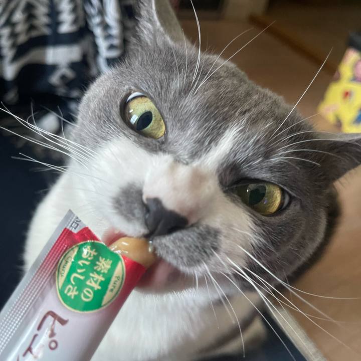 A5b312ff b61d 4168 9c62 81d52aefbfd2 1715152826749