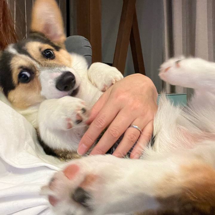 A5b33f5b 8c89 492b 8832 f36b76077787 1775307376593