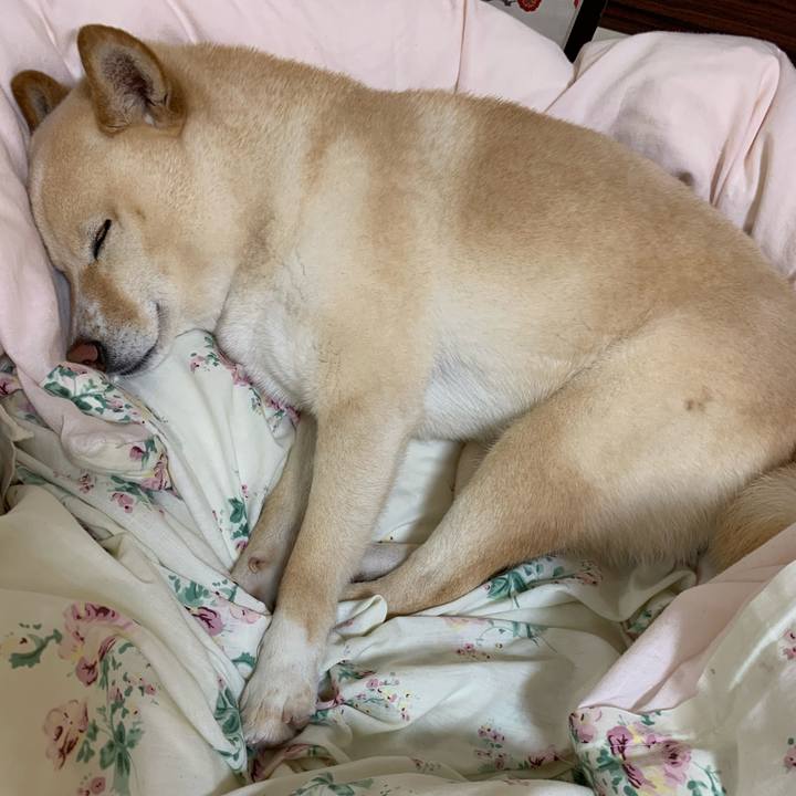 A5b3529e 1550 4ce3 acd5 f3eb30993437 1615640063961