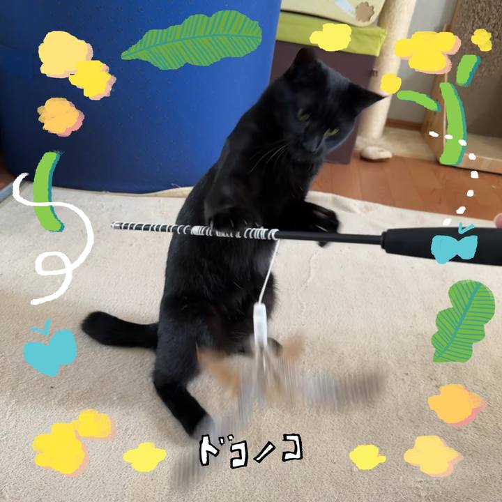 A5b3625d 320e 495c 9b3c d817156c53ac 1744345229120