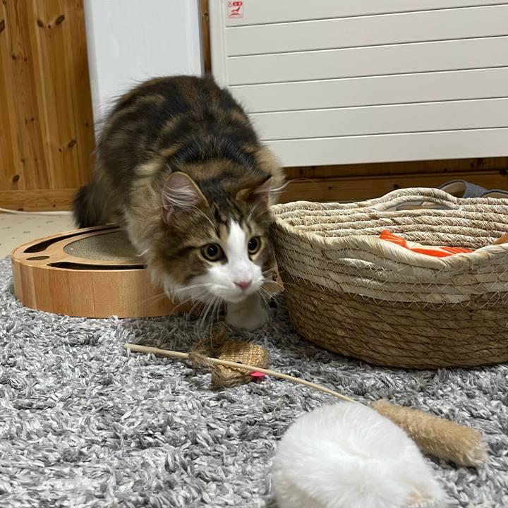 A5b36d0f 7e23 48bc b4da f3278c4843b6 1637844488469