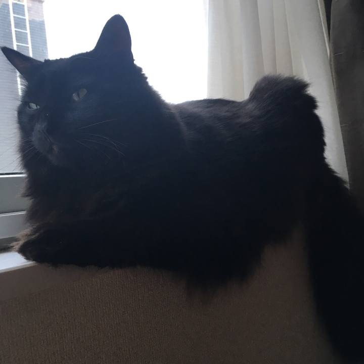 A5b372a3 b4e8 47d3 a69b 491a6d2b4dfc 1531954312837