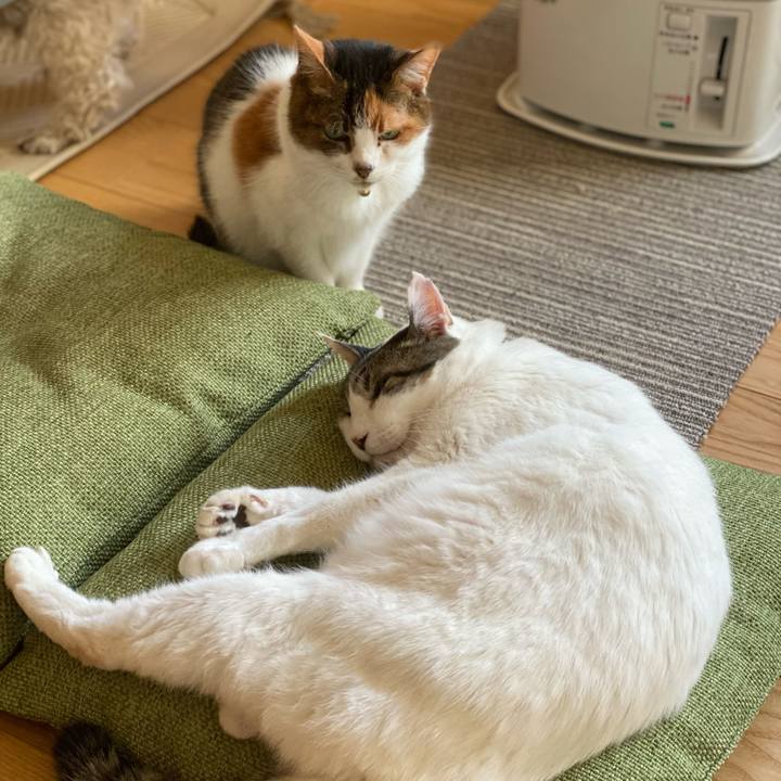 A5b38d4b 4c03 4da7 8d63 a69718b517f7 1675558276741