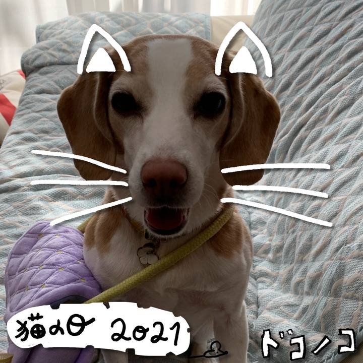 A5b3c4e8 358d 45a3 b050 253d5966c311 1613992666416