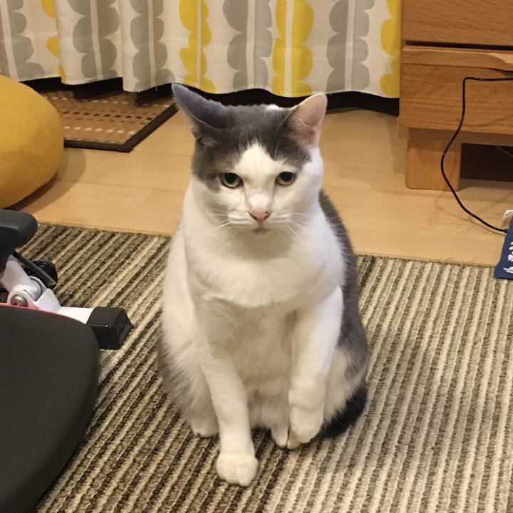 A5b3d117 1fed 4c1e 8a46 a6c5aed5f08c 1510231641718