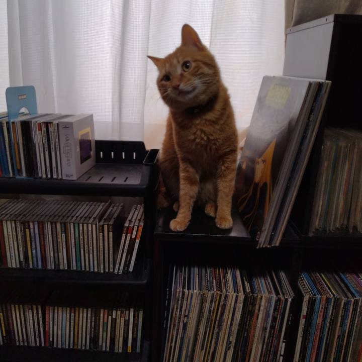 A5b41750 082d 4337 a76a cfda6d7c6e06 1676874783384