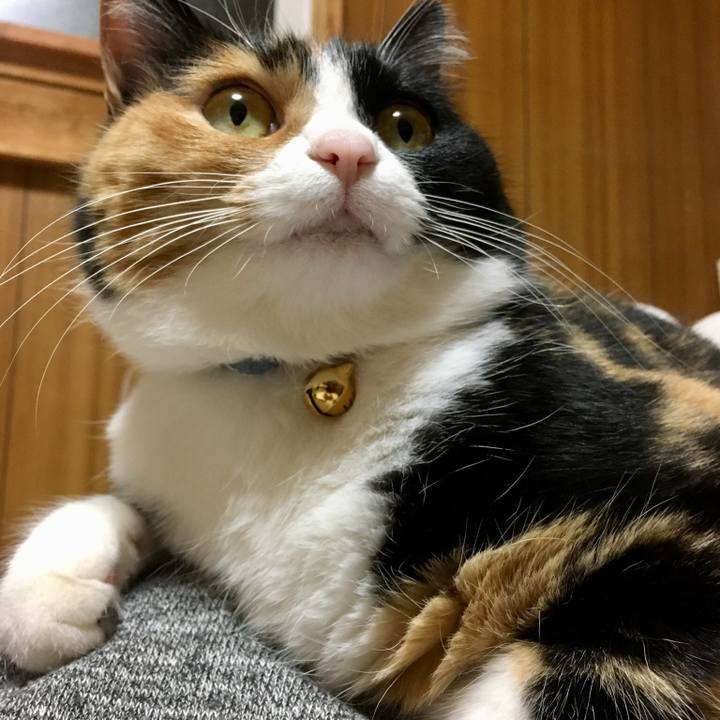 A5b44b83 4cba 4b9d b3c4 e64f1da3f252 1518173897830