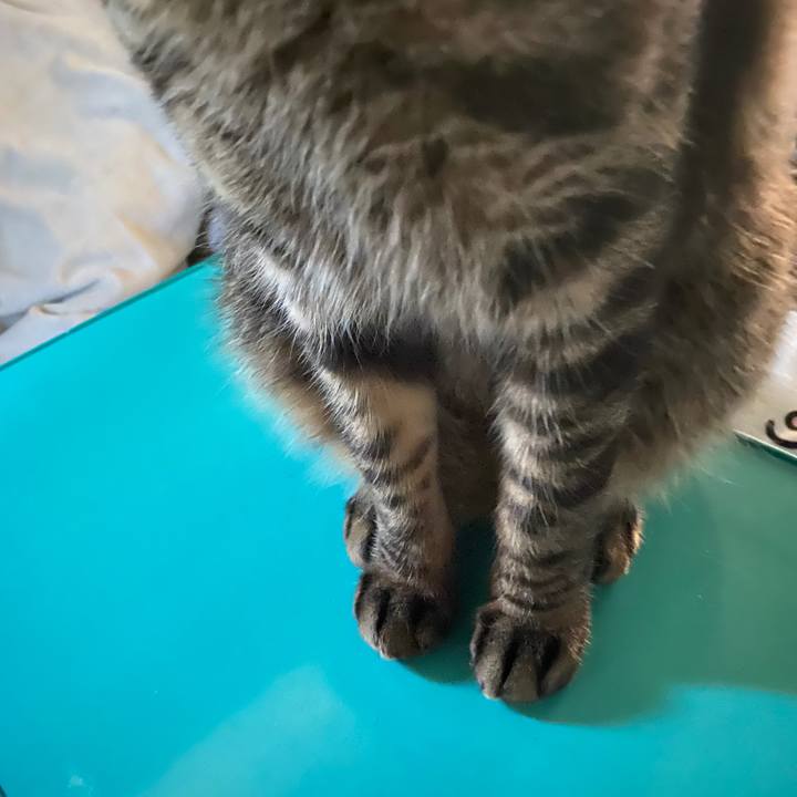 A5b48f54 b1b3 4414 9737 8272e4c7137f 1588727399604