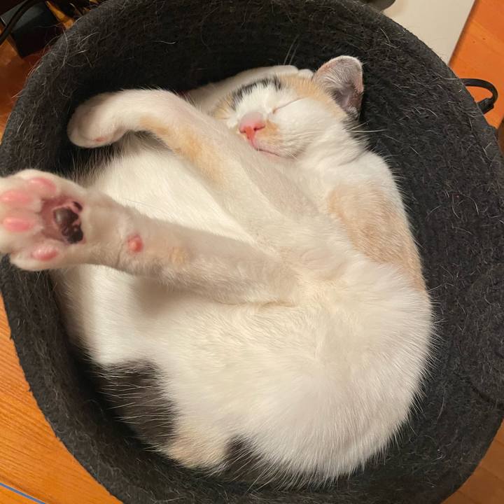 A5b49775 c4d5 46ec ba69 0c57c679bf03 1743169963235