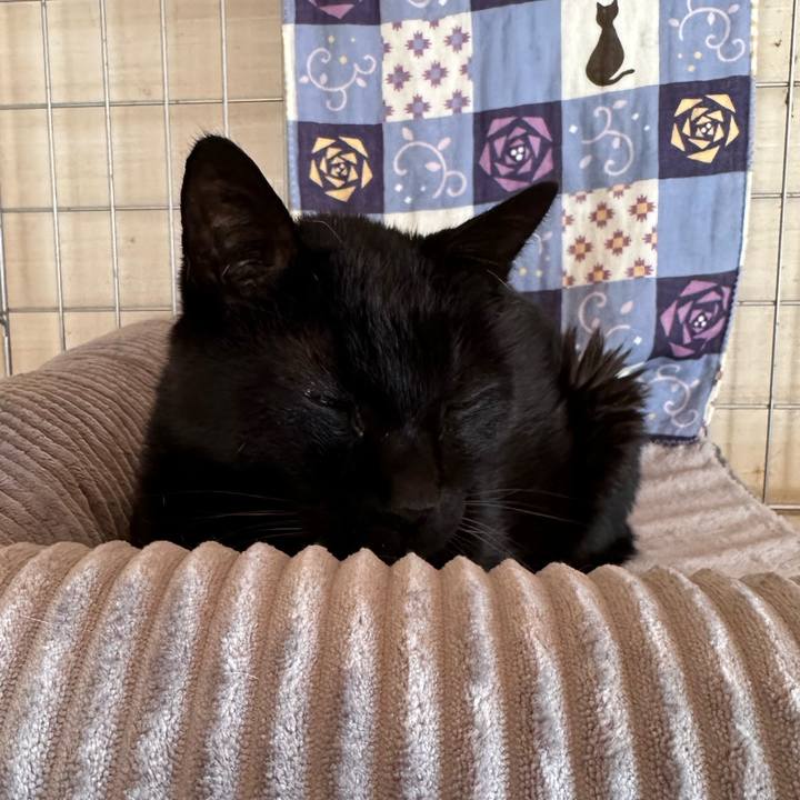 A5b4abc2 85e9 4002 82be 849fd7ff58e0 1710296865387