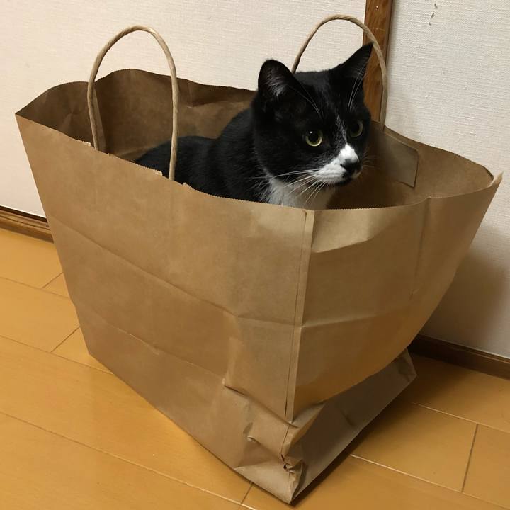 A5b4c9d3 13a3 4b45 ba88 06add2be5434 1576554385657