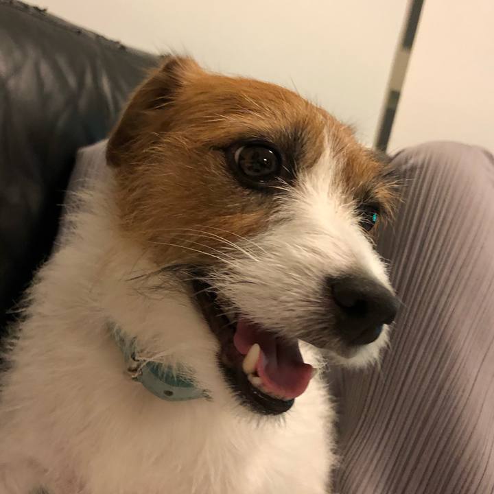 A5b5014d cdb9 43d9 8bff 2829a867b9b0 1570269882952