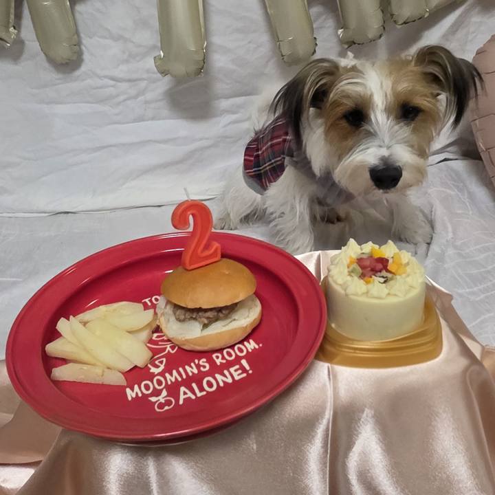 A5b53194 3faa 418f 9a5a d6a2b09777e5 1762682139628