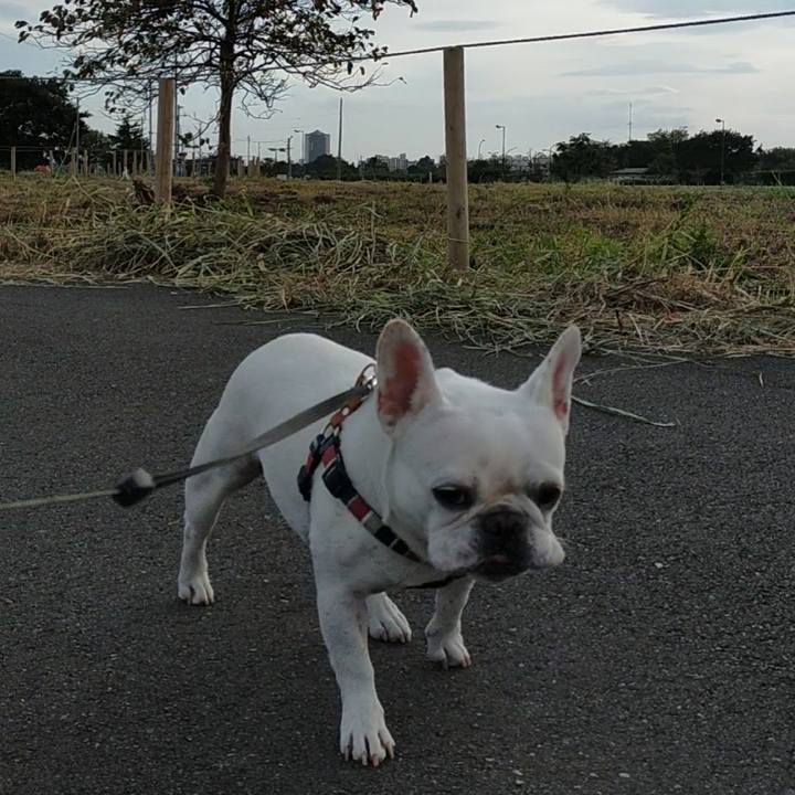 A5b54289 99cb 44a9 a634 1051a3a7315b 1664886756480