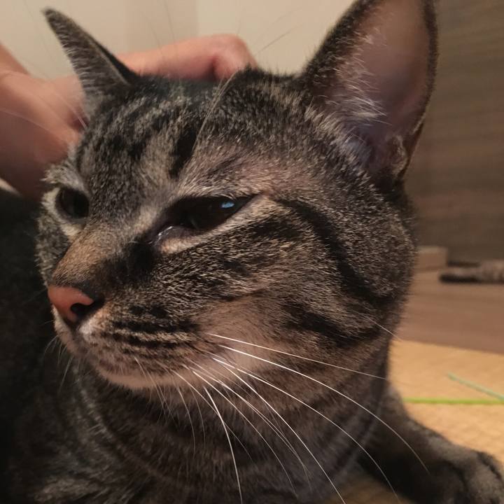 A5b561bc bb46 46ee 938c 62611b00fbdb 1566042253135