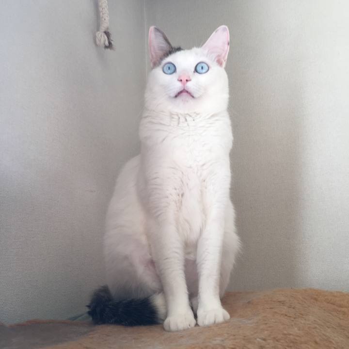 A5b5699f 22e4 41a6 931b 4b8a785f39ee 1563628051220