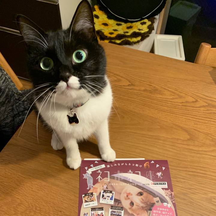 A5b56e7d 74cb 4b29 a229 685396e2e596 1549761401549