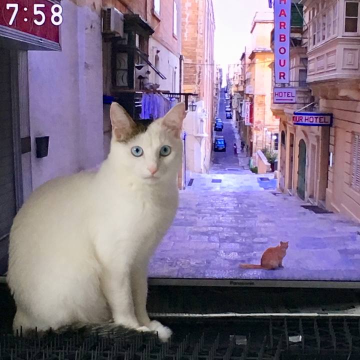 A5b592ec d541 4566 b0c8 9ee77b84ecbb 1514252164901