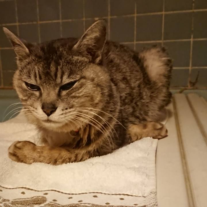 A5b5b56d d9c6 4cc6 a85a 87c49181dbf6 1591266297304