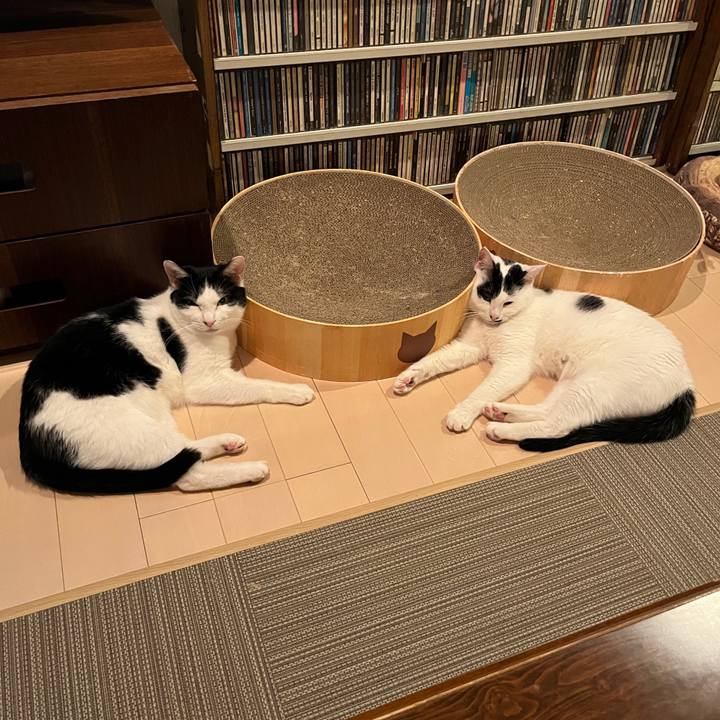 A5b5d2b5 a61c 4a8e b129 addf38bb7b29 1772103165702