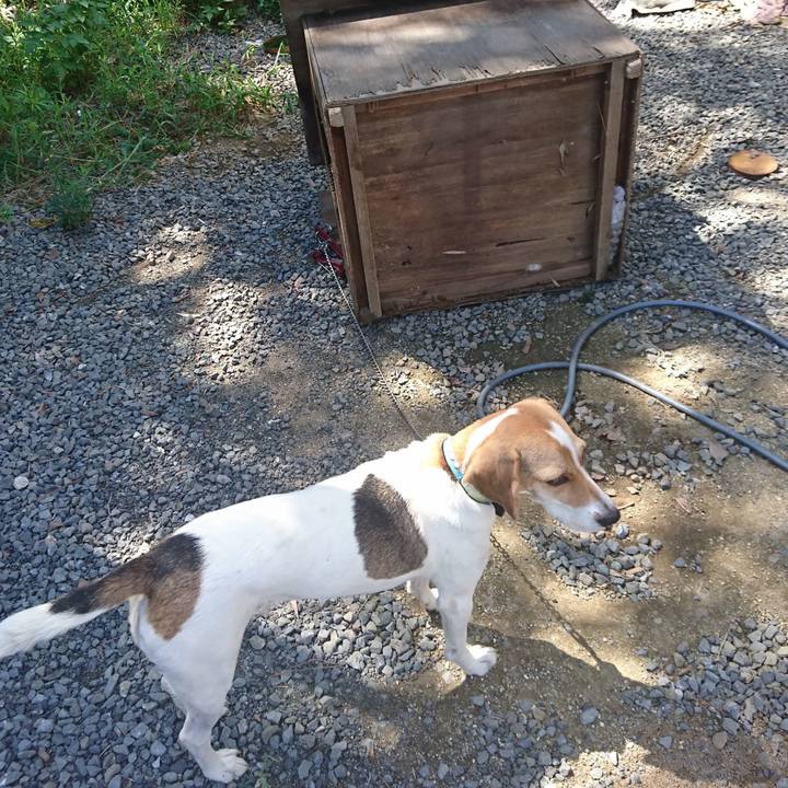 A5b605fd da38 478b bb3a b1c5835a64c5 1567477581961