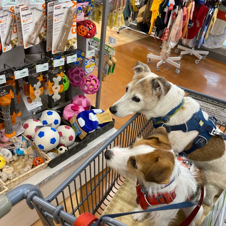 A5b630a5 3ea7 4ca0 a168 886566035f07 1669540919889