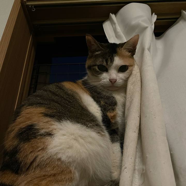 A5b63b6c cd8b 48ee a725 8fa1e3b10d6d 1716805731951