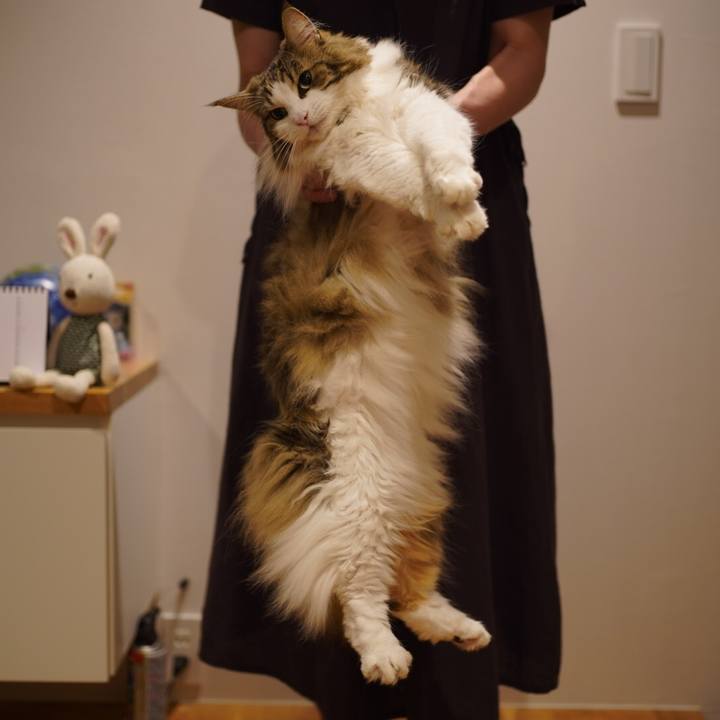 A5b66243 fe40 4830 93a1 82d012613636 1628865499799