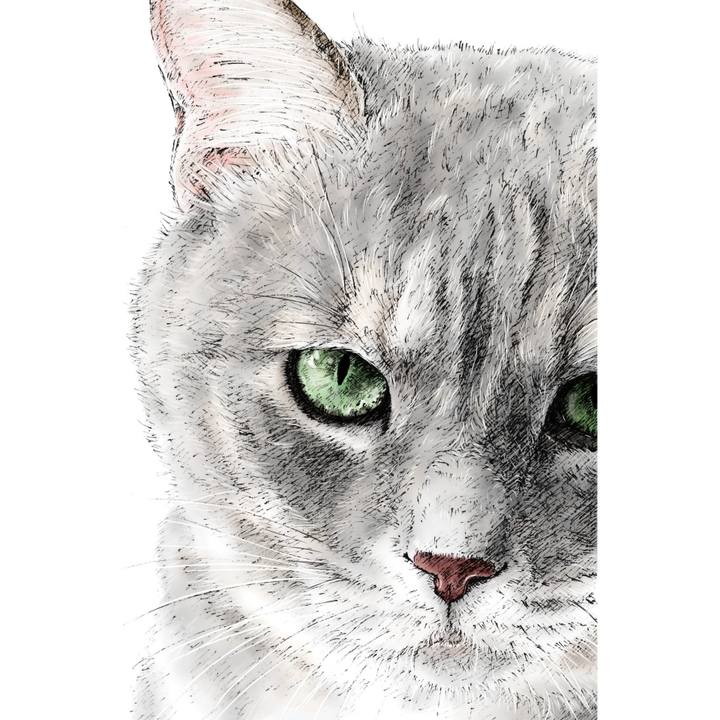 A5b669de 3d85 4859 88e6 756bf20d49a3 1623633885578