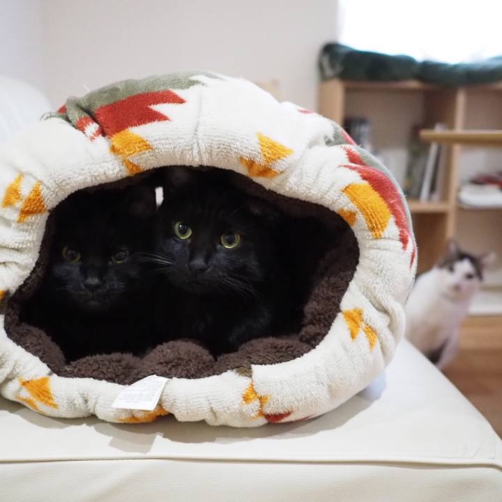 A5b67ab4 a060 479a a9e6 ea1943bca862 1546818159347